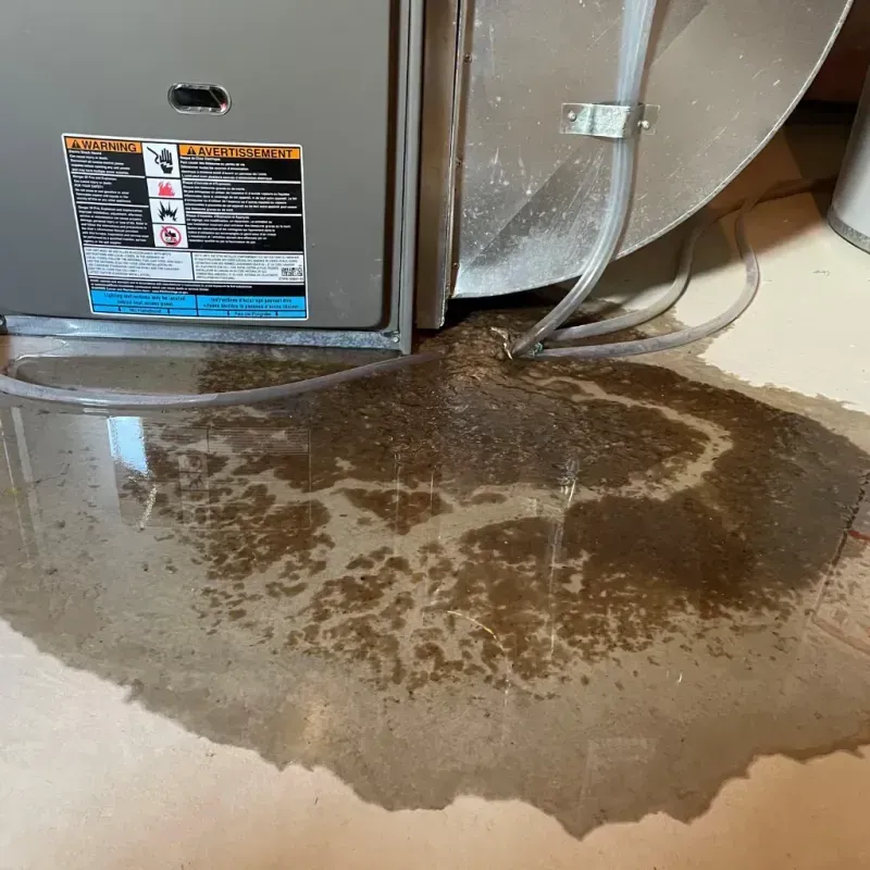 Appliance Leak Cleanup in Headland, AL